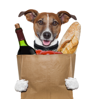 grocery bag dog wine tomatoes bread
