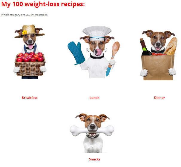 100 recipes